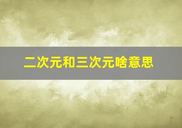 二次元和三次元啥意思