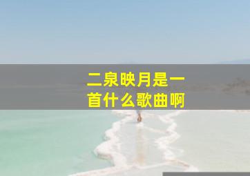 二泉映月是一首什么歌曲啊