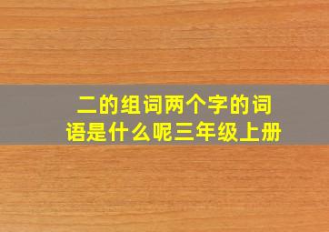 二的组词两个字的词语是什么呢三年级上册