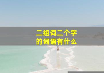 二组词二个字的词语有什么