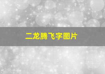 二龙腾飞字图片