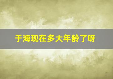 于海现在多大年龄了呀