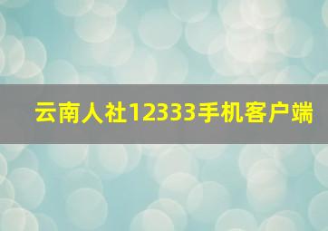 云南人社12333手机客户端