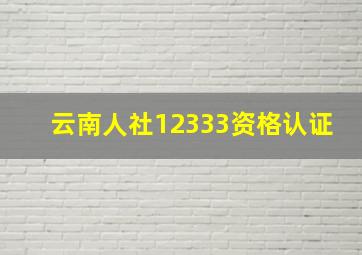 云南人社12333资格认证