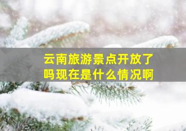 云南旅游景点开放了吗现在是什么情况啊