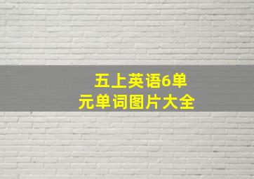 五上英语6单元单词图片大全