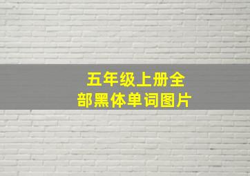 五年级上册全部黑体单词图片