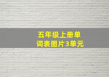 五年级上册单词表图片3单元