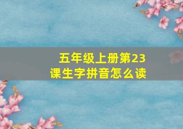 五年级上册第23课生字拼音怎么读