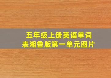 五年级上册英语单词表湘鲁版第一单元图片