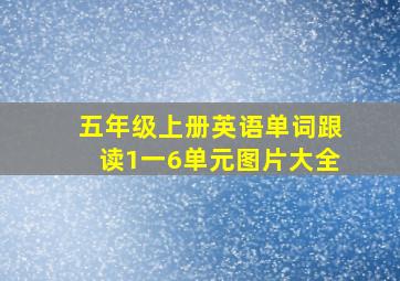 五年级上册英语单词跟读1一6单元图片大全