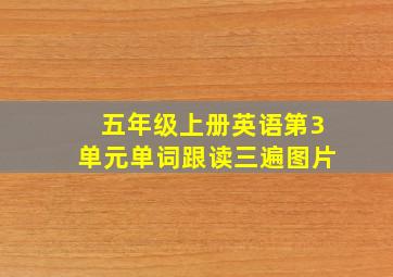 五年级上册英语第3单元单词跟读三遍图片