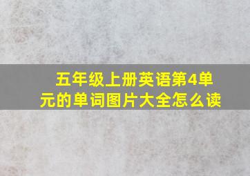 五年级上册英语第4单元的单词图片大全怎么读