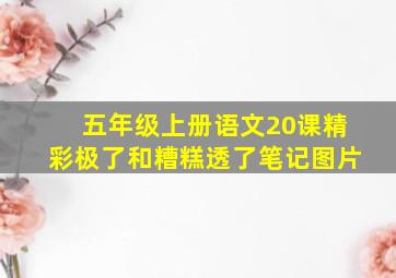 五年级上册语文20课精彩极了和糟糕透了笔记图片