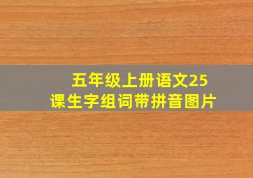 五年级上册语文25课生字组词带拼音图片