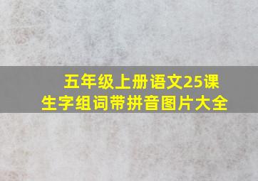 五年级上册语文25课生字组词带拼音图片大全