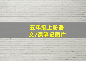 五年级上册语文7课笔记图片