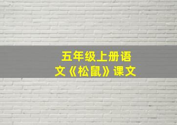 五年级上册语文《松鼠》课文