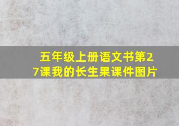 五年级上册语文书第27课我的长生果课件图片