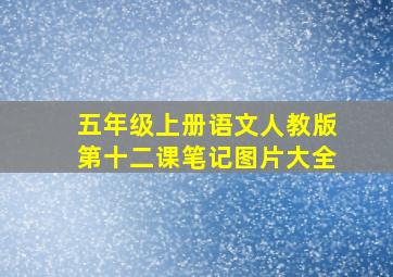 五年级上册语文人教版第十二课笔记图片大全