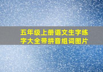 五年级上册语文生字练字大全带拼音组词图片