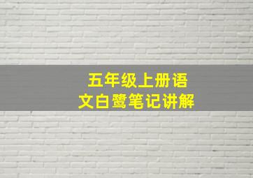 五年级上册语文白鹭笔记讲解