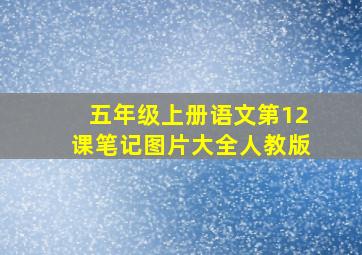 五年级上册语文第12课笔记图片大全人教版