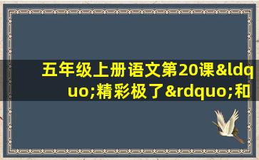 五年级上册语文第20课“精彩极了”和“糟糕透了”