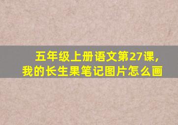 五年级上册语文第27课,我的长生果笔记图片怎么画