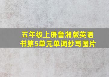 五年级上册鲁湘版英语书第5单元单词抄写图片