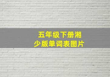 五年级下册湘少版单词表图片