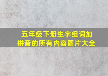 五年级下册生字组词加拼音的所有内容图片大全