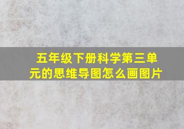 五年级下册科学第三单元的思维导图怎么画图片