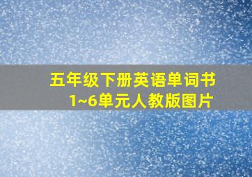 五年级下册英语单词书1~6单元人教版图片