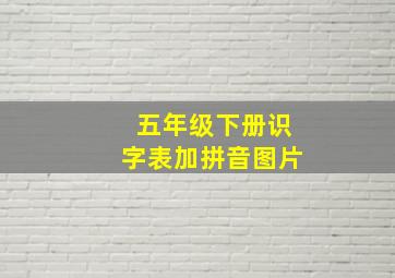 五年级下册识字表加拼音图片