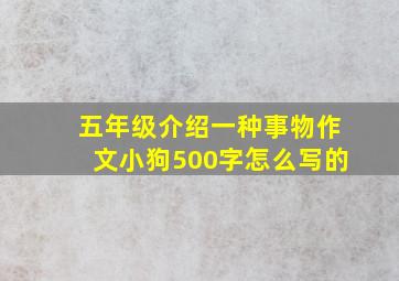 五年级介绍一种事物作文小狗500字怎么写的