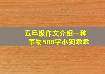 五年级作文介绍一种事物500字小狗乖乖