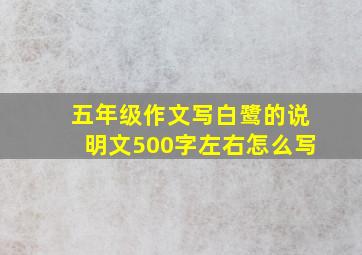 五年级作文写白鹭的说明文500字左右怎么写