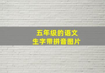 五年级的语文生字带拼音图片