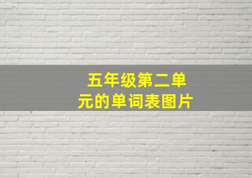 五年级第二单元的单词表图片