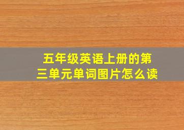 五年级英语上册的第三单元单词图片怎么读