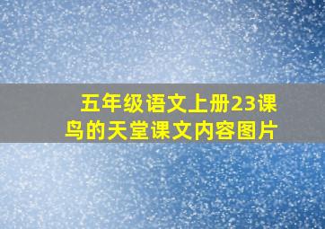 五年级语文上册23课鸟的天堂课文内容图片