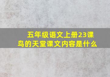 五年级语文上册23课鸟的天堂课文内容是什么