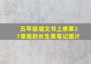 五年级语文书上册第27课我的长生果笔记图片