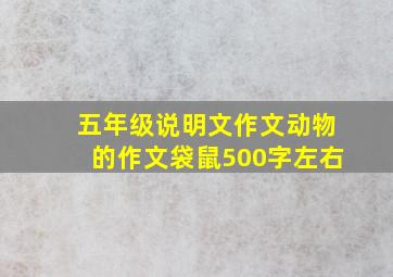 五年级说明文作文动物的作文袋鼠500字左右