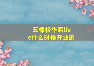 五棵松华熙live什么时候开业的