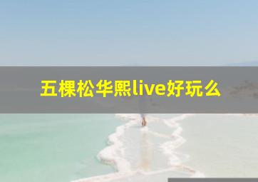 五棵松华熙live好玩么