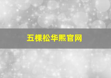 五棵松华熙官网