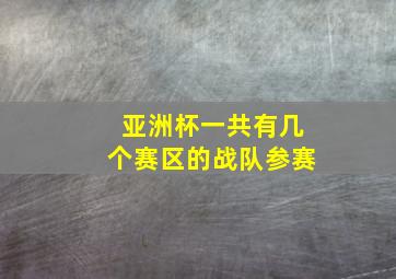 亚洲杯一共有几个赛区的战队参赛