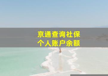 京通查询社保个人账户余额